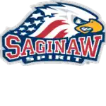 Сагино Спирит