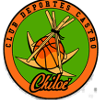 Club Deportes Castro