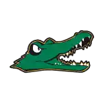 Đội Gators Allegheny