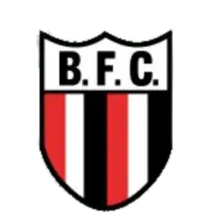 Ботафого Рибейро-Прету II