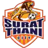 Wiang Sa Surat Thani City