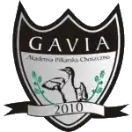 Gavia Choszczno