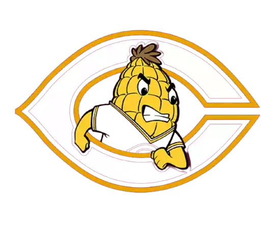 Concordia Moorhead Cobbers (Women)