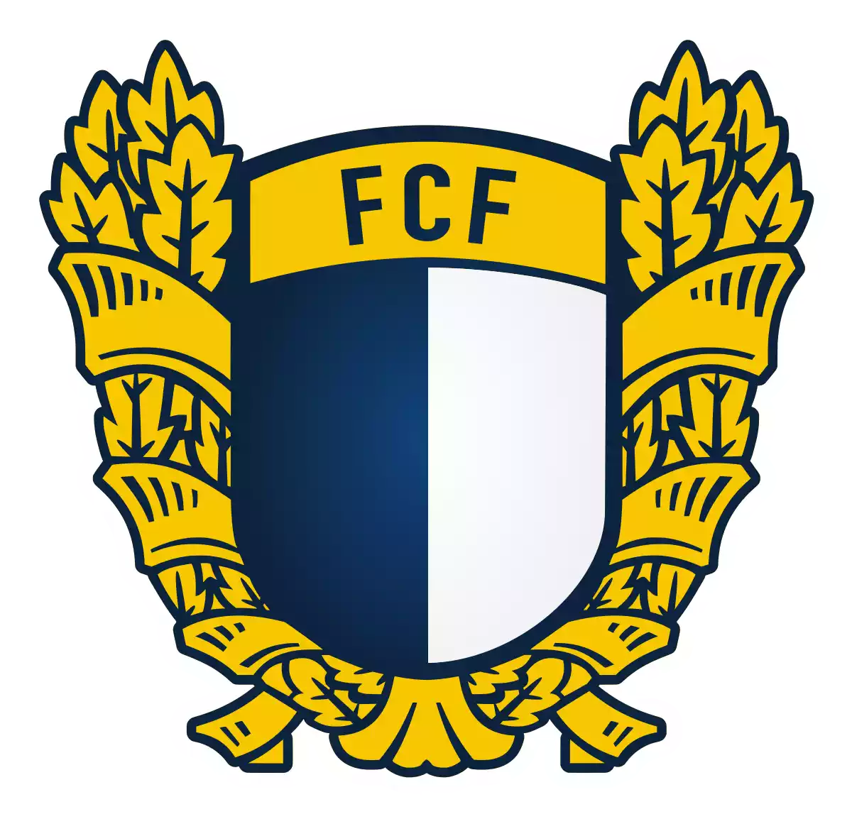FC Familicao U19