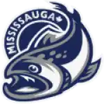 Миссиссога Стилхедс