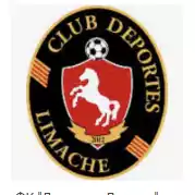 Deportes Limache
