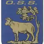 SV OSS.'20