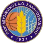 Панелефсиниакос АОК 