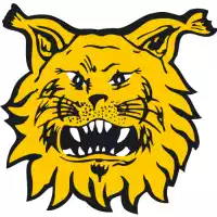 Tampereen Ilves II