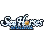 Seahorses Mikawa