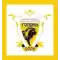 team_logo