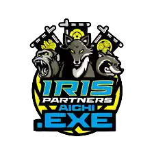 Irispartners 3x3