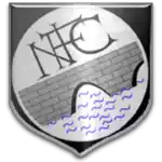 Newbridge On Wye FC