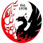 Đội bóng Clarence United