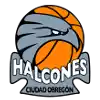 Halcones de Ciudad Obregon