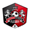 Fleury-Merogis