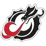 Minnesota State Moorhead Dragons