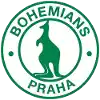 Bohemians 1905 II (19)