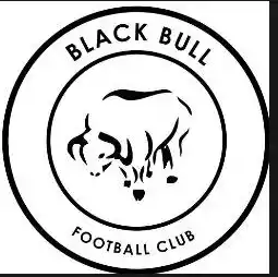 Black Bulls FC
