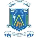 Newbridge Town (Women)