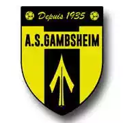Гамбсхейм ДХ