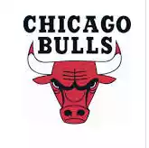 Chicago Bulls (macmafin8)
