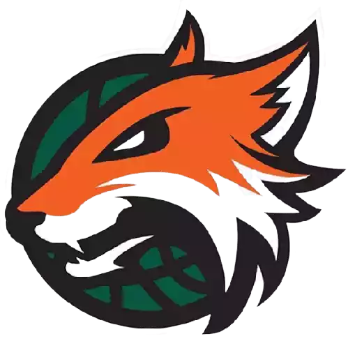 Plymouth Raiders
