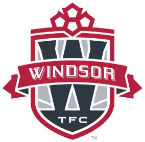 Виндзор ТФК