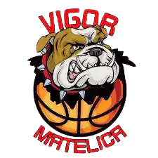 Vigor Matelica