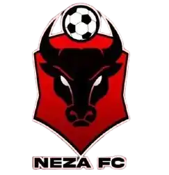 team_logo