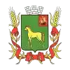 СДЮСШОР Бронницы