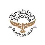 Arabian Falcons