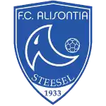 Alisontia Steinsel