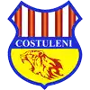 FC Costuleni