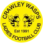 Crawley Wasps (F)