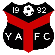 Ynyshir Albions