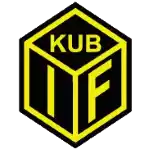 Kubikenborgs