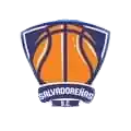 Salvadorenos