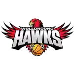 Đội bóng rổ Illawarra Hawks