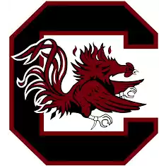 Đội bóng đá nữ South Carolina Gamecocks