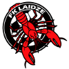 Talsi Laidze