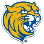 Johnson And Wales Wildcats (Ri)