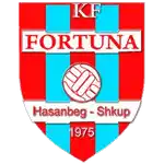 Фортуна Скопье