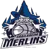Crailsheim Merlins