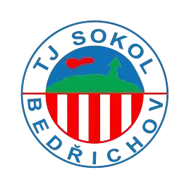 Сокол Бедрихов