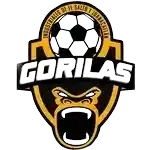 Gorilas de Juanacatlan II