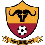 Young Buffaloes