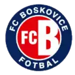 Босковице