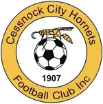 Cessnock City Hornets FC Reserve