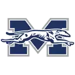 Moravian Greyhounds